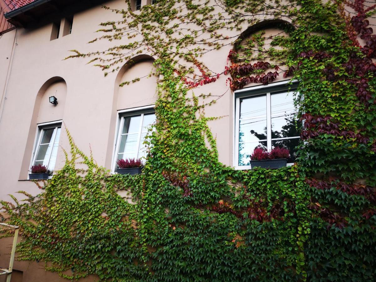 Apartament Nad Potokiem Wrzosowka Apartment เยเลเนียกูรา ภายนอก รูปภาพ